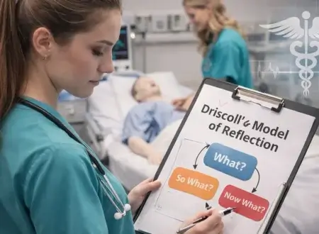 Driscoll’s Model of Reflection